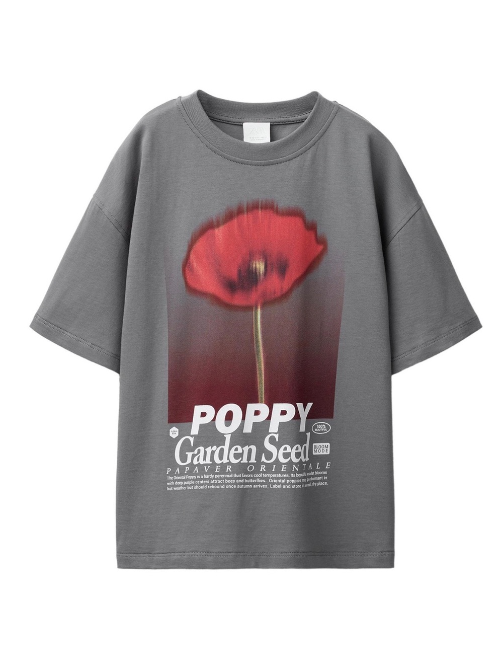 Zara Poppy Garden Print Short Sleeve T-Shirt Girls 9-10 Years